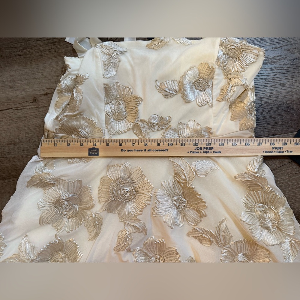 🆕🆕 Lulus Truly Inspiring Ivory Mesh Floral Mini Dress Size XL Prom Wedding Party - Picture 13 of 16